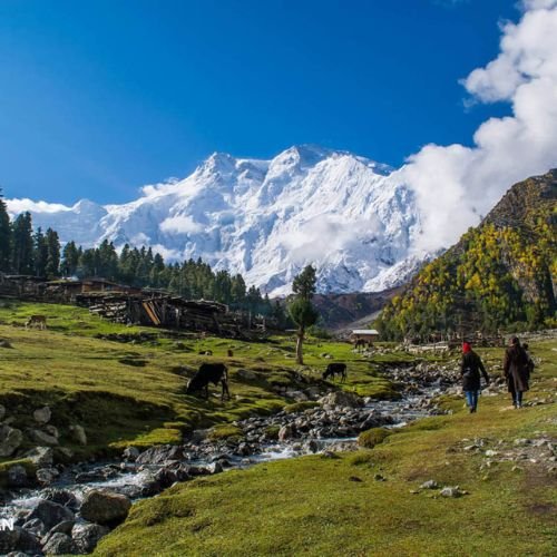 listing-details-carousel